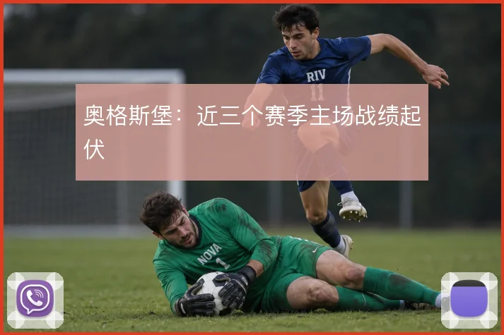 奥格斯堡:近三个赛季主场战绩起伏